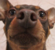 silverdoctor's Avatar