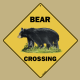 bear crossing's Avatar