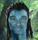 tgrbll's Avatar