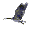 bobalong's Avatar